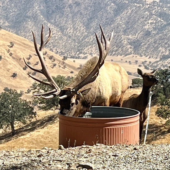 Meet your Posher, Tysa - Picture 8 of 9